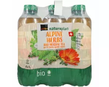 Naturaplan Bio Ice Tea Herbes des Alpes suisses 6x1l