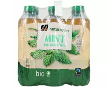Naturaplan Bio Ice Tea Thé Vert Menthe 6x1l