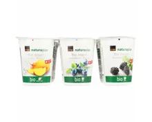 Naturaplan Bio Joghurt Heidelbeeren Brombeeren Fairtrade Mango 6x180g