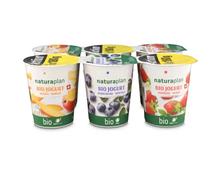 Naturaplan Bio Joghurt Mango Heidelbeere & Erdbeere 6x180g