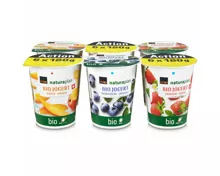 Naturaplan Bio Joghurt Mango Heidelbeere & Erdbeere 6x180g