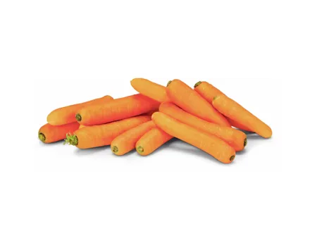 Naturaplan Bio Karotten