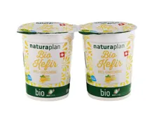 Naturaplan Bio Kefir Honig & Ingwer 2x180g
