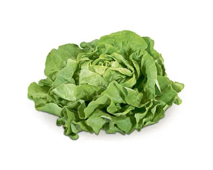 Naturaplan Bio Kopfsalat grün 1 Stück