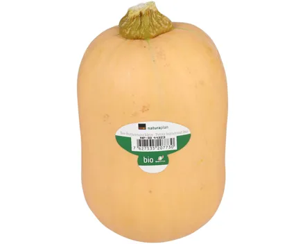Naturaplan Bio Kürbis Butternuss klein St