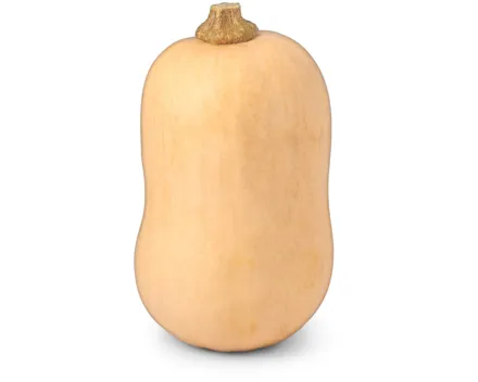 Naturaplan Bio Kürbis Butternuss klein St