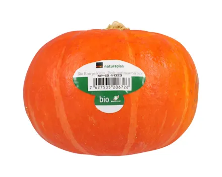 Naturaplan Bio Kürbis oranger Knirps klein St