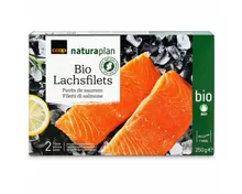 Naturaplan Bio Lachsfilet 2 Filets