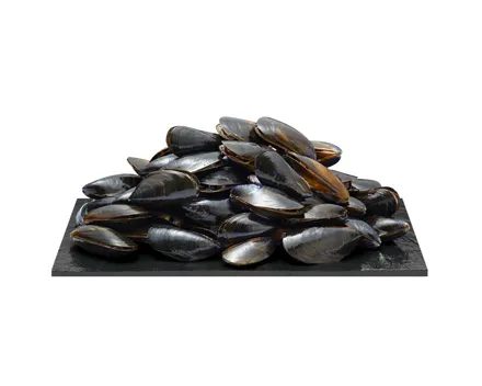 Naturaplan Bio Miesmuscheln Bouchot 1.4kg