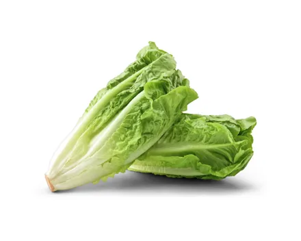 Naturaplan Bio Mini Lattich 2 Stück