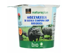 Naturaplan Bio Mozzarella di bufala DOP