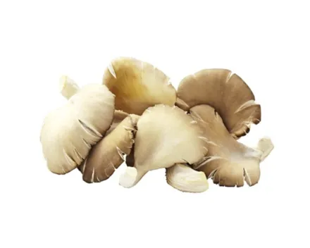 Naturaplan Bio Pleurotus-Pilze ca. 100g