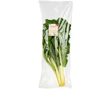 Naturaplan Bio Pro Specie Rara Krautstiel