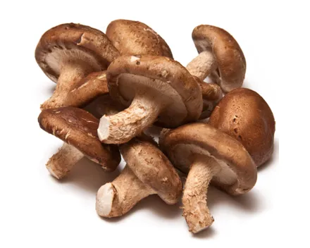 Naturaplan Bio Shiitake-Pilze ca. 100g