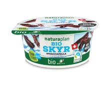 Naturaplan Bio Skyr Stracciatella