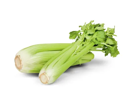 Naturaplan Bio Stangensellerie ca. 500g