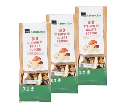 Naturaplan Bio Steinpilze getrocknet 3x25g