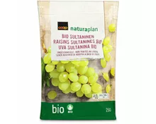 Naturaplan Bio Sultaninen