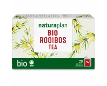 Naturaplan Bio Tee Rooibos 20 Beutel