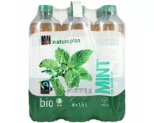 Naturaplan Bio thé vert menthe 6x1,5l