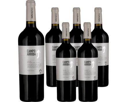 Naturaplan Bio Yecla DO Campo Arriba 6x 75cl (2022) – Rotwein, Spanien (0.75l)