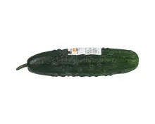 Naturaplan Demeter Bio Nostrani Gurke 1 Stück