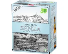 Naturaplan Gran Alpin Senza Bier alkoholfrei 6x33cl