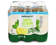 Naturaplan Mint Lemon Bio Herbal Tea ungesüsst 6x50CL