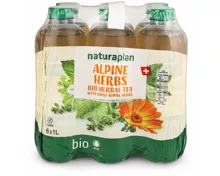 Naturaplan Organic Alpen Herb Ice Tea 6x1l