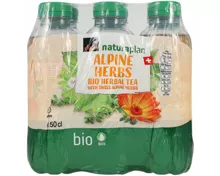 Naturaplan Organic Alpine Herbal Tea 6x50cl