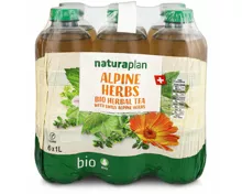 Naturaplan Organic Alpine Herbs Ice Tea 6x1l