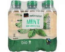 Naturaplan Organic Moroccan Mint Green Ice Tea 6x50cl