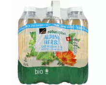 Naturaplan Organic ungesüsst Alp Herbs Ice Tea 6x1l