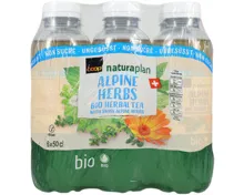 Naturaplan Organic ungesüsst Alpen Herb Ice Tea 6x50cl
