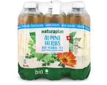 Naturaplan Organic ungesüsst Alpine Herbs Ice Tea 6x1l