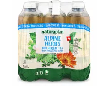 Naturaplan Organic ungesüsst Alpine Herbs Ice Tea 6x1l