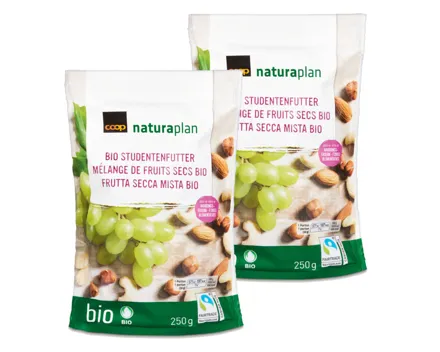 Naturaplan Studentenfutter 2x250g