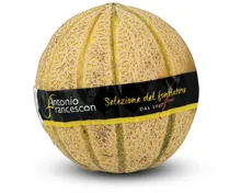 Netzmelone Selezione del fondatore