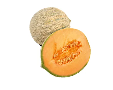 Netzmelonen