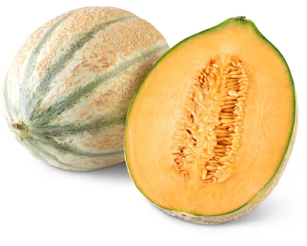 Netzmelonen
