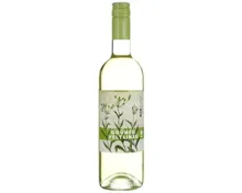Niederösterreich Qualitätswein Naturaplan Bio-Grüner Veltliner Biokult