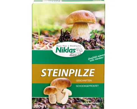 Niklas Steinpilze