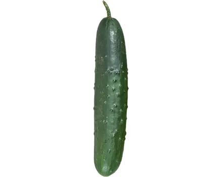 Nostrano Gurken