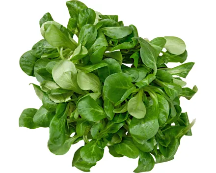 Nüsslisalat