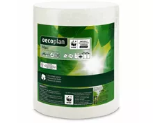 Oecoplan Haushaltpapier weiss Maxi