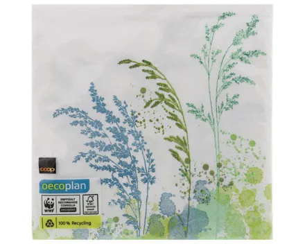 Oecoplan-Servietten Gräser 33cm 20 Stück