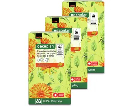 Oecoplan Taschentücher Calendula Fsc® Recycled Box, 3x80 Stück