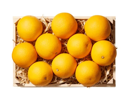 Orangen