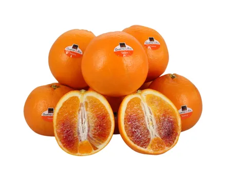 Orangen Tarocco ca. 1kg