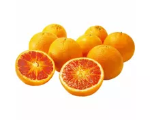 Orangen Tarocco halbblut